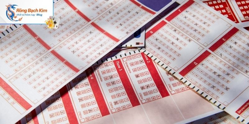 Rồng Bạch Kim 247 - Soi Cầu Dự Đoán Kết Quả Xổ Số Chuẩn 2026 3 Các bước thực hiện Rồng Bạch Kim 247 an toàn hiệu quả