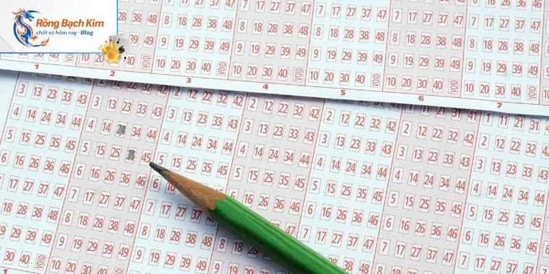 Rồng Bạch Kim 777 - Kết Quả Soi Cầu Xổ Số Miễn Phí Hôm Nay 4 Giải đáp độ tin cậy mà hệ thống rồng bạch kim đem lại