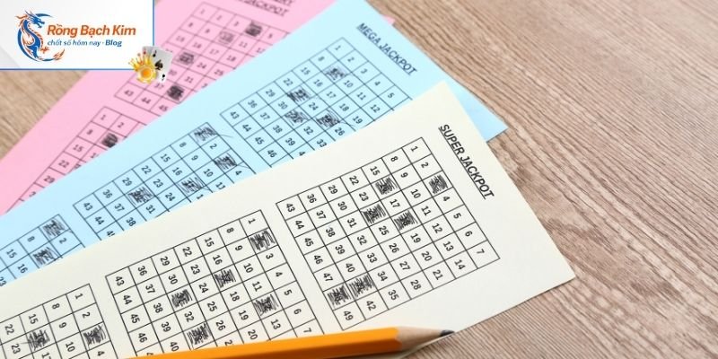 Rồng Bạch Kim 247 - Soi Cầu Dự Đoán Kết Quả Xổ Số Chuẩn 2026 6 Hướng dẫn quy trình ghép cầu Rồng Bạch Kim chuẩn