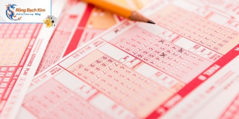 Hé Lộ Rồng Bạch Kim Chính Xác 100 Bạn Không Nên Bỏ Lỡ 2 Mức độ uy tín của rồng bạch kim chính xác 100