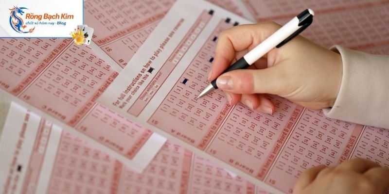 Hé Lộ Rồng Bạch Kim Chính Xác 100 Bạn Không Nên Bỏ Lỡ 3 Rồng bạch kim chính xác 100 tìm được từ soi đầu đuôi
